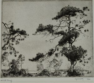 Image description is not available for DU1965.58